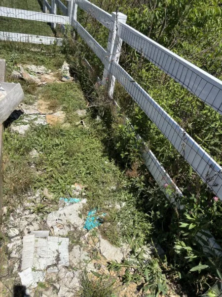 Overgrown weeds along a white fence beside a mulched playhouse area before clearing.