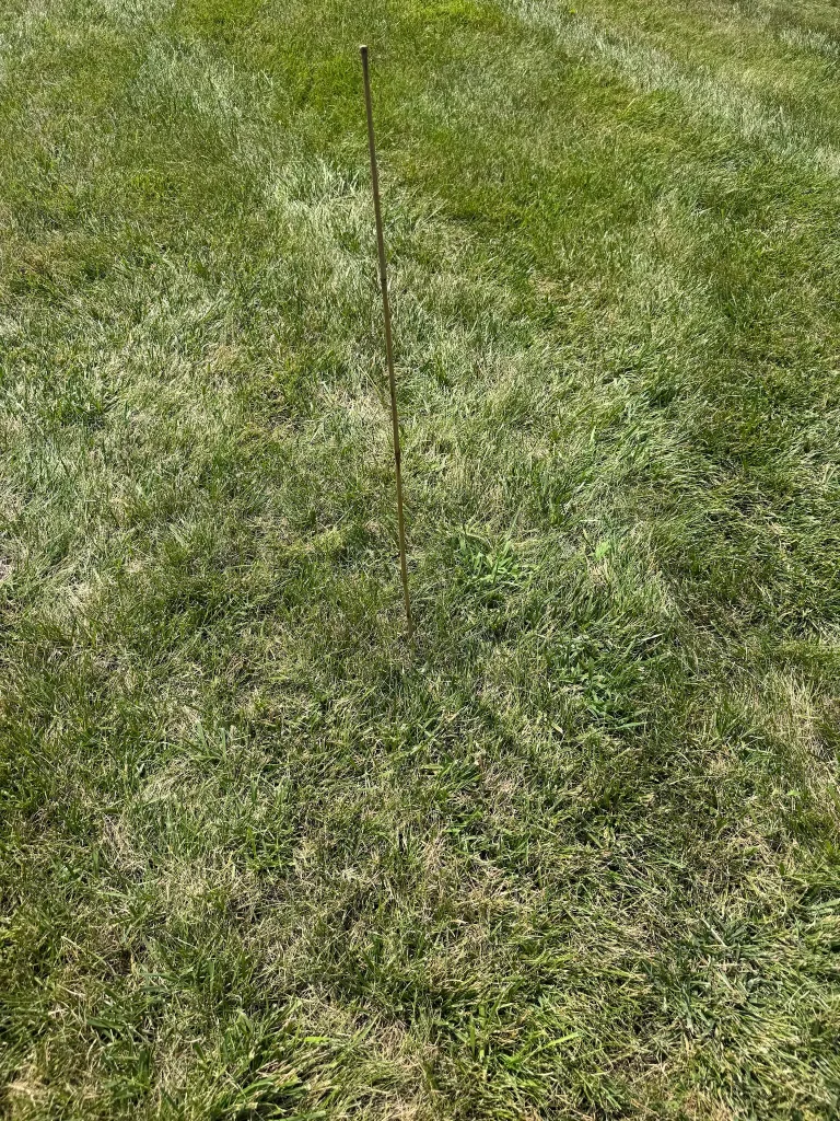 Open lawn with two marked planting locations before trees were installed.