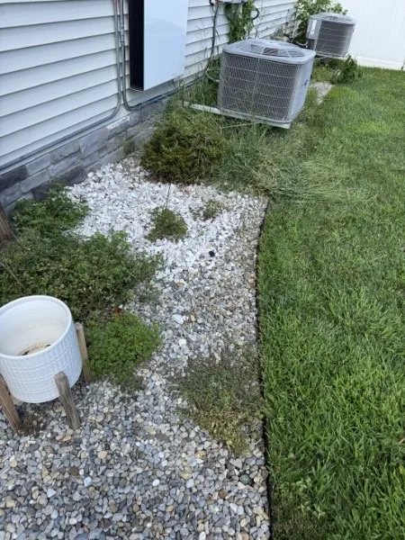 Side rock bed beside the home with weeds growing around the shrubs before cleanup.